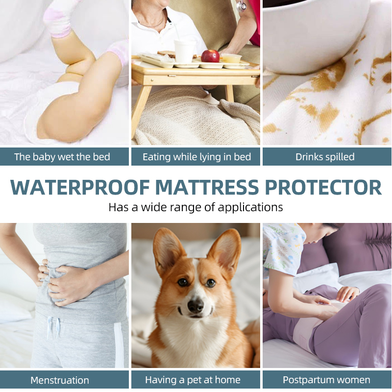 แผ่นรองกันน้ำสำหรับที่นอน Quee - Waterproof Mattress Protector Breathable บทวิจารณ์และราคา